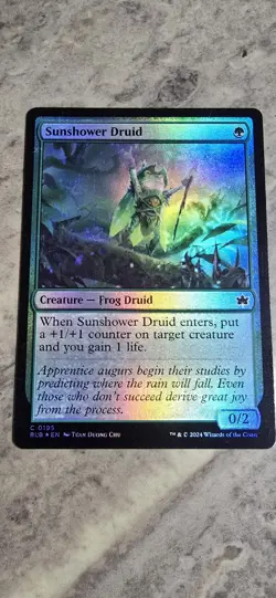 Sunshower Druid Bloomburrow Foil Creature Frog Common MTG NM - Image 1