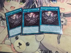 YUGIOH Asian-English Black Rose Garden x3 DOOD-AE055 Common - Image 1