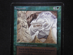 Fungusaur MP [Limited Edition Beta] Mtg Magic Free Tracking! - Image 3