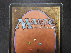 Fungusaur MP [Limited Edition Beta] Mtg Magic Free Tracking! - Image 5