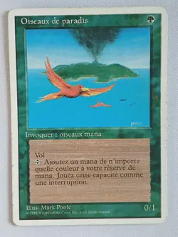 RUSH FRANCAIS Oiseaux de paradis Played MTG magic 4ED - Image 1