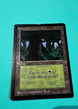 Beta - Forest - MTG - Magic the Gathering - Image 1