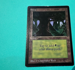 Beta - Forest - MTG - Magic the Gathering - Image 2