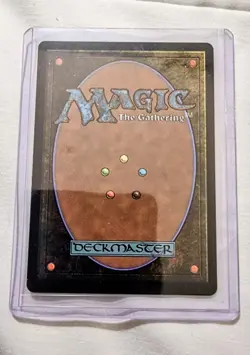 MTG Marsh Flats (Borderless) 0110 Tarkir: Dragonstorm Special Guest M/NM - Image 2