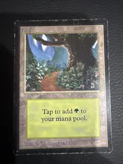 1x Forest (B - Path) Heavy Play, English 1st Edition Beta MTG Magic - Image 1