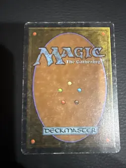 1x Forest (B - Path) Heavy Play, English 1st Edition Beta MTG Magic - Image 2