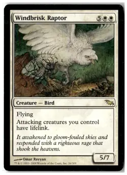 MTG Windbrisk Raptor - Shadowmoor Heavily Played English - Image 1