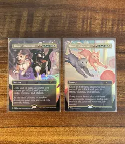 MTG✨TITANIC ULTIMATUM FOIL Set✨SLD Dogs/Cats Are Better Than Cats/Dogs MINT Rare - Image 1