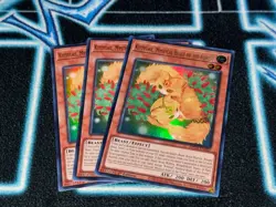 Kittytail, Mystical Beast of the Forest x3 - MP24 - Ultra Rare (UR) - Yugioh 🔥 - Image 1