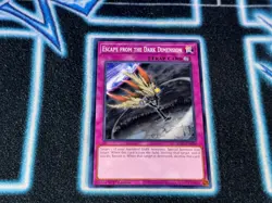 Escape from the Dark Dimension - SDSA - Common - 1st Edition - LP - Image 1