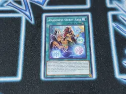 Amazoness Secret Arts - Mp23 - Common - Yugioh - LP - Image 1
