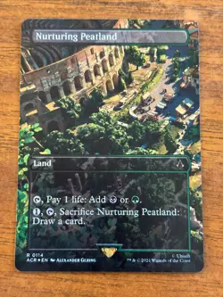 Nurturing Peatland - Assassin's Creed - MTG - FOIL - 0114 - Image 1