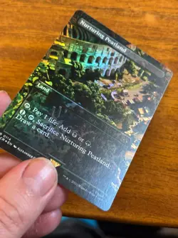 Nurturing Peatland - Assassin's Creed - MTG - FOIL - 0114 - Image 2