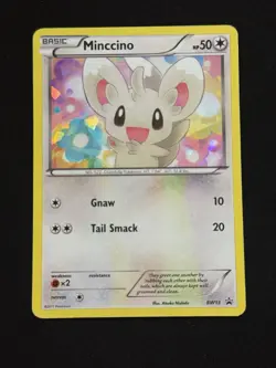 Minccino #BW13 - Pokemon TCG - Black and White Promos - Holo - LP - Image 1