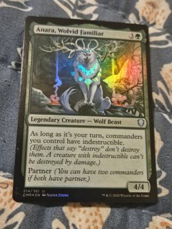 Anara, Wolvid Familiar FOIL - Commander Legends LP MTG Magic - Image 1