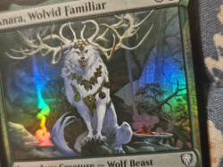 Anara, Wolvid Familiar FOIL - Commander Legends LP MTG Magic - Image 3