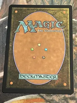 MTG - 1x Fortified Village - Extended Surge Foil doctor Who m - Image 2