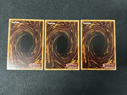Yugioh *Demise of the Land X3 Common* (LP) OP14-EN019 Free Shipping - Image 2