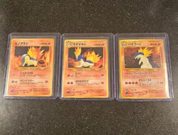 Typhlosion (Holo), Quilava, Cyndaquil Pokemon Neo Premium File 1 (Japanese) - LP - Image 1