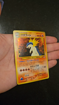 Typhlosion (Holo), Quilava, Cyndaquil Pokemon Neo Premium File 1 (Japanese) - LP - Image 2