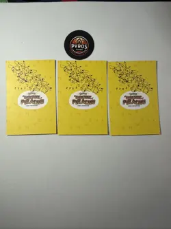 Pokemon Cracked Ice Holo *Electric Pikachu Database* - *VAN GOGH* Non Tcg - Image 5