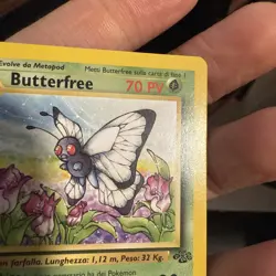 Pokemon BUTTERFREE 33/64 - 1st Edition Jungle - - NEAR MINT/MINT - ITALIAN - Image 3