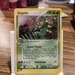 Pokemon TCG Sceptile EX Ruby Sapphire 11/109 Holo Holo Rare NM - LP - Image 1