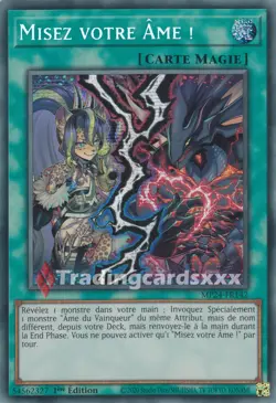 Yu-Gi-Oh! Misez votre Ame ! : PSE MP24-FR142 - Image 1