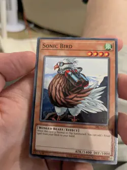 Sonic Bird - SRL-EN093 - common YuGiOh - Image 1