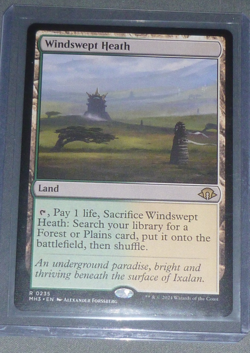 Windswept Heath - Modern Horizons 3 Regular - Mtg Magic the Gathering - Image 1