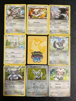 x8 Minccino Cinccino pokemon mixed lot cute Adorable shiny Rare Holo (part 2) xy - Image 1