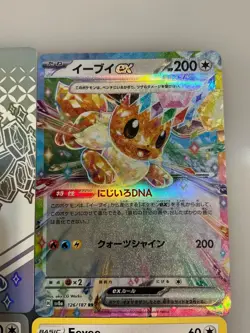 Eevee Pokemon Mixed lot Ex Holo Japanese sleeve tab cute nice sweet - Image 4