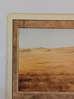 MTG Magic the Gathering Savannah Revised Edition Dual Land MP See Description - Image 2