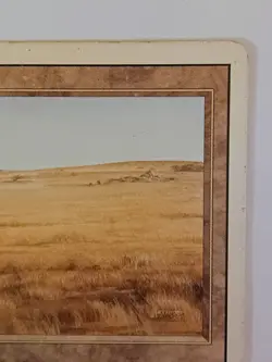 MTG Magic the Gathering Savannah Revised Edition Dual Land MP See Description - Image 3