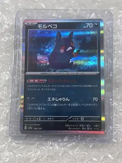 Morpeko Holo Rare Terastal Festival 098/187 NM Pokemon TCG Card Japanese - Image 1