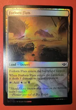 MTG: FORLORN FLATS, FOIL FINISH, COMMON , 0258, OTJ, NM - Image 1