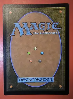 MTG: FORLORN FLATS, FOIL FINISH, COMMON , 0258, OTJ, NM - Image 2