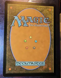 MTG, MAGIC: Hidden Nursery LCI, 0276, FOIL LAND NM - Image 4