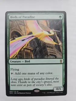 Birds of Paradise Ravnica Allegiance: Guild Kits Regular - Image 1