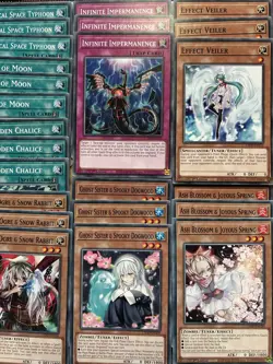 YuGiOh Handtrap Staple Ash Blossom Infinite Impermanence Forbidden Droplet Droll - Image 5