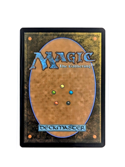 Warrior of Light 0017 Rare Showcase Non-Foil FF1 FCA MTG FINAL FANTASY EN NM/M - Image 2