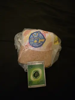 2024 Pokemon World Championships Competitor Hat Honolulu - Image 1