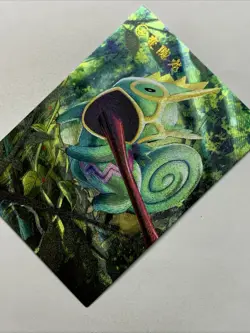 Kecleon Chameleon Pokemon 352 Foil Holo Card Anime Rare Full Art Arcade Pokedex - Image 3