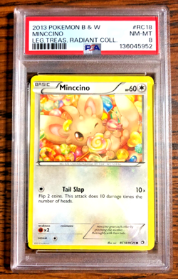 Minccino Holo #RC18 - PSA NM-MT 8 - Legendary Treasures Radiant Coll. - Pokemon - Image 1