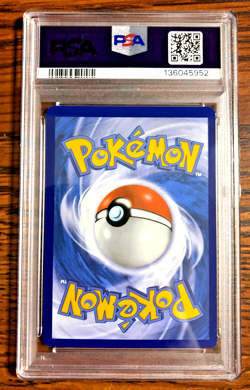 Minccino Holo #RC18 - PSA NM-MT 8 - Legendary Treasures Radiant Coll. - Pokemon - Image 3