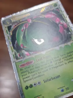 PL Pokemon Holo (Prime) MEGANIUM Card HGSS BLACK STAR PROMO Set HGSS08 HeartGold - Image 2