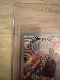 Morpeko 206/182 SV04: Paradox Rift Holo Pokemon TCG 2023 Full Art Holo - Image 2