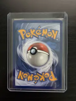 Mega Sharpedo ex 127/094 Special Illustration SIR Pokemon Phantasmal Flames NM - Image 3