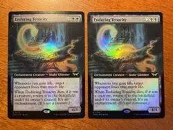 2x Enduring Tenacity Extended Art FOIL Lot MTG Duskmourn NM-M 374 - Image 1