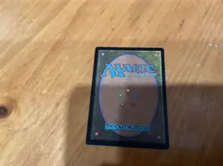 Austere command MN to good condition - Image 2